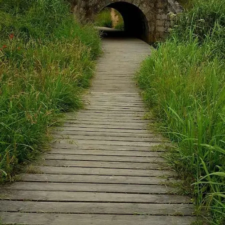 Carmo Espinho (Aveiro)