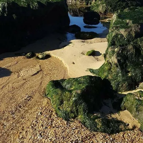 Apartment Carmo Espinho (Aveiro)