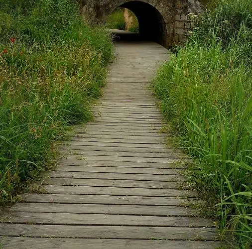 Carmo Espinho (Aveiro)